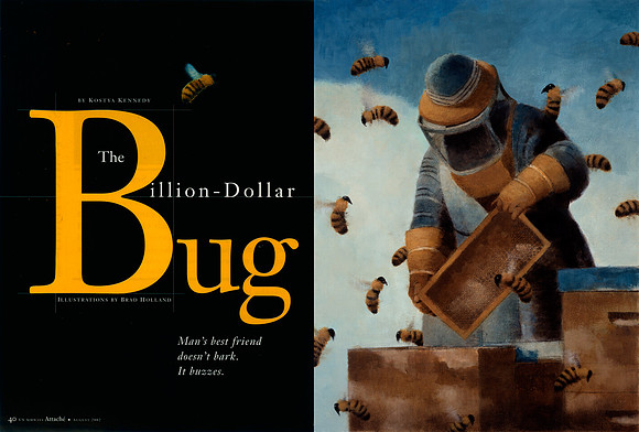 Million Dollar Bug