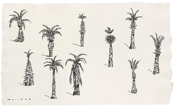 Palms