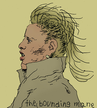 The Bounding Mane