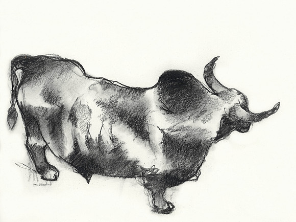 Bull in a Bull Chute, Rodeo, Fort Smith, Arkansas
