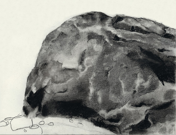 Unfinished Rock, Utah