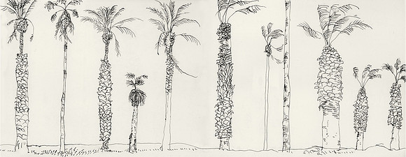 Roadside Palms, Las Vegas