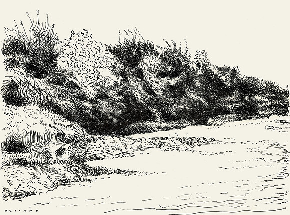 Creek Bank, Greenwood, Arkansas