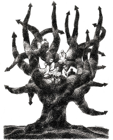 Witness Tree