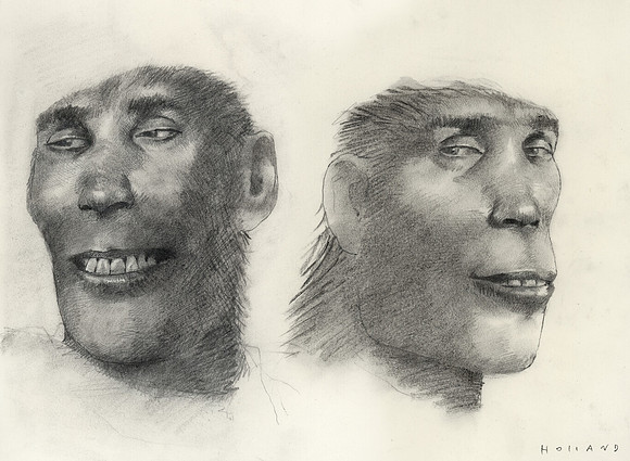 Zinjanthropus