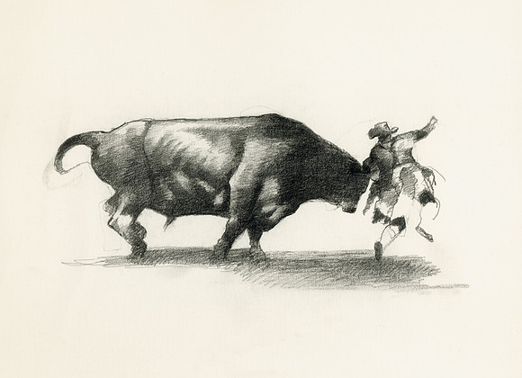 Not Outrunning the Bull