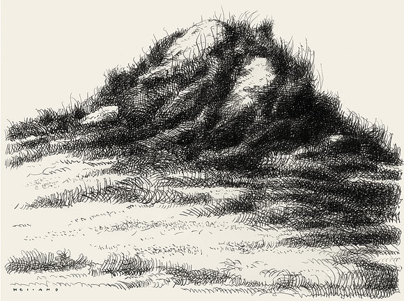 Grassy Knoll