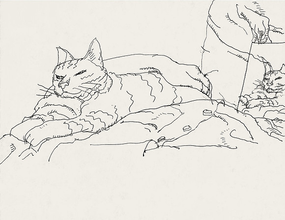 Drawing the Cat on my Shoulder