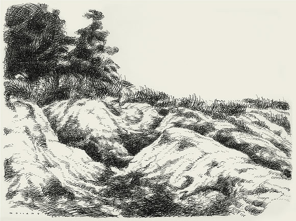 Eroded Field