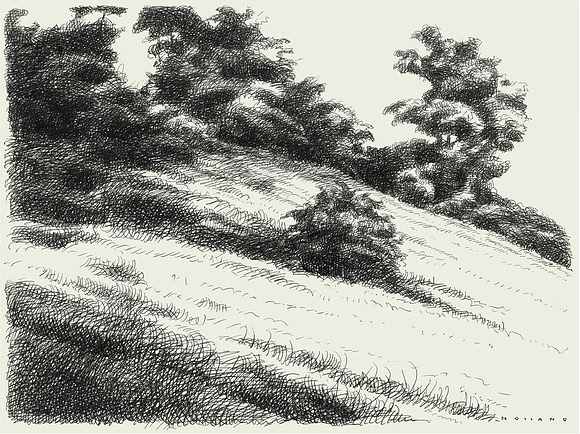 Hillside
