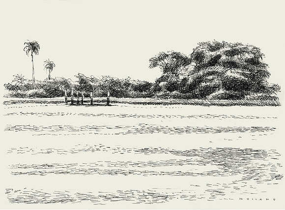 Lagoon at Fort Lauderdale