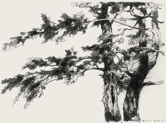 Two Trees, Wappingers Falls