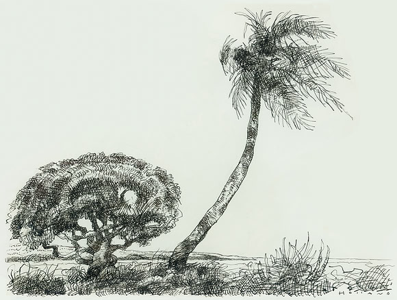 Gulf Breeze, Fort Lauderdale
