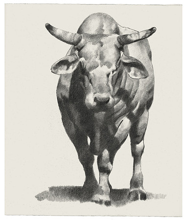 Striding Bull