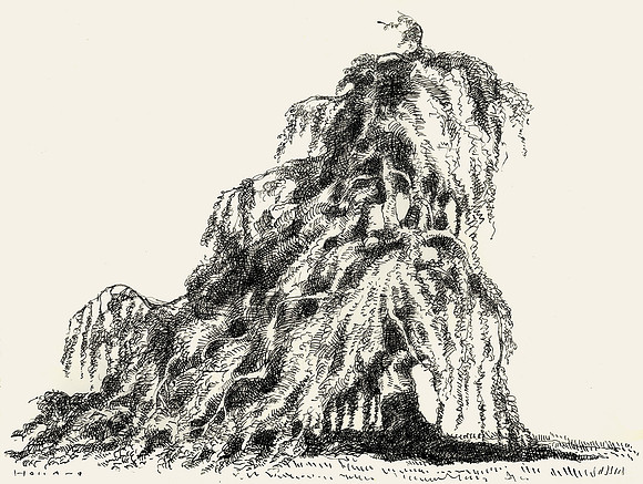 Weeping Willow, Zurich Switzerland