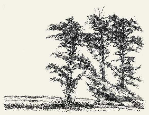 Three Trees, Wappingers Falls, New York