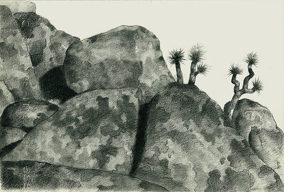 Rocks and Scrub, Joshua Tree, California